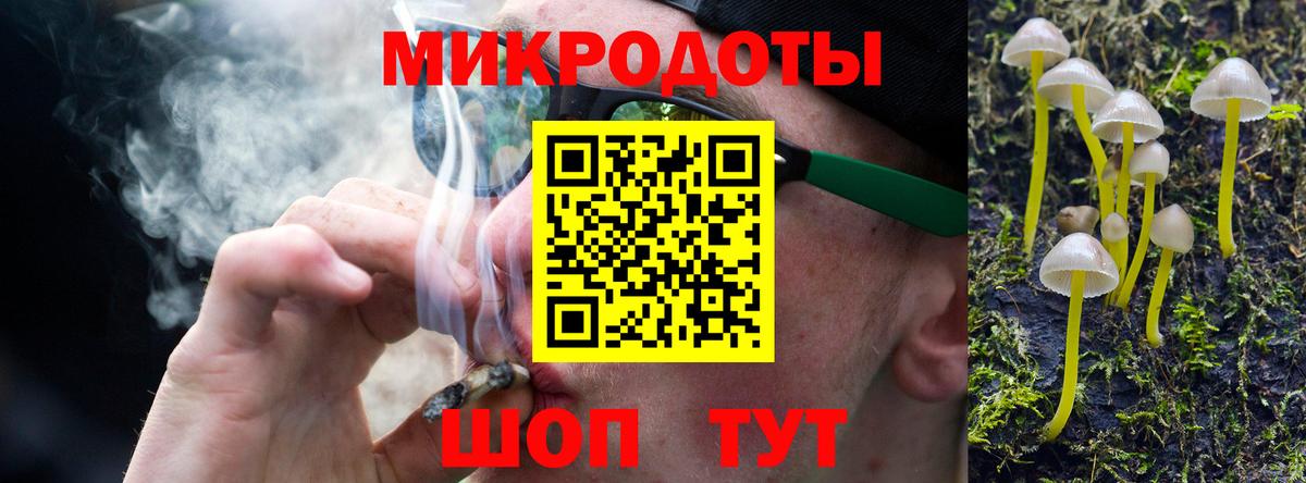 Псилоцибиновые грибы мицелий Каменск-Шахтинский